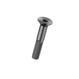ISO10642 12.9/10.9   High tensile screw